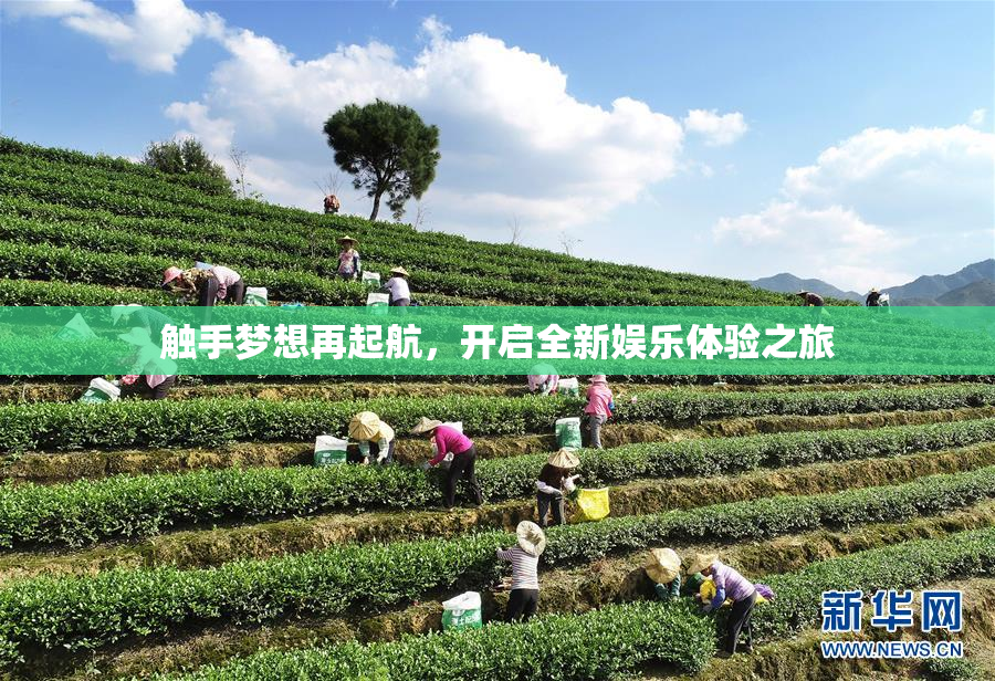 触手梦想再起航，开启全新娱乐体验之旅