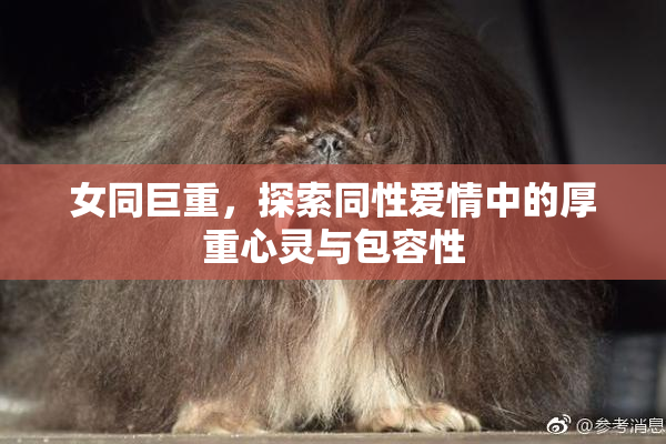 女同巨重，探索同性爱情中的厚重心灵与包容性