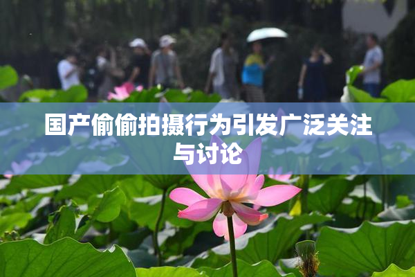 国产偷偷拍摄行为引发广泛关注与讨论