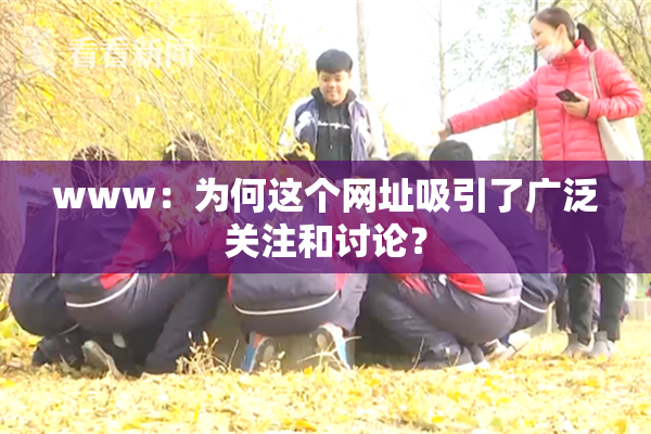 www：为何这个网址吸引了广泛关注和讨论？