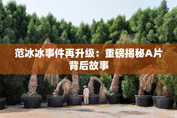 范冰冰事件再升级：重磅揭秘A片背后故事