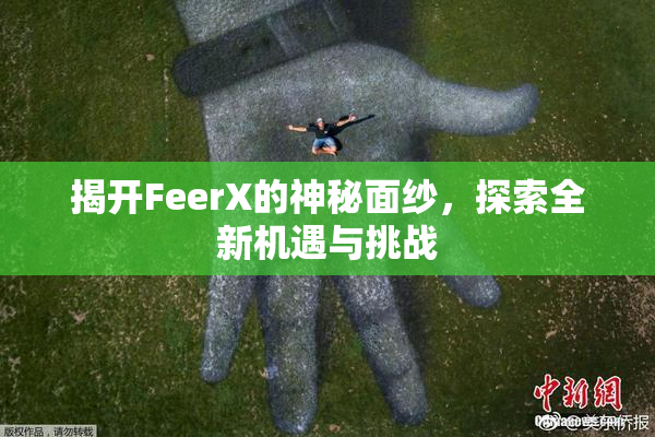揭开FeerX的神秘面纱，探索全新机遇与挑战