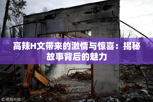 高辣H文带来的激情与惊喜：揭秘故事背后的魅力