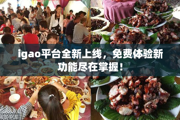 igao平台全新上线，免费体验新功能尽在掌握！