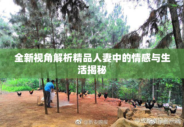 全新视角解析精品人妻中的情感与生活揭秘