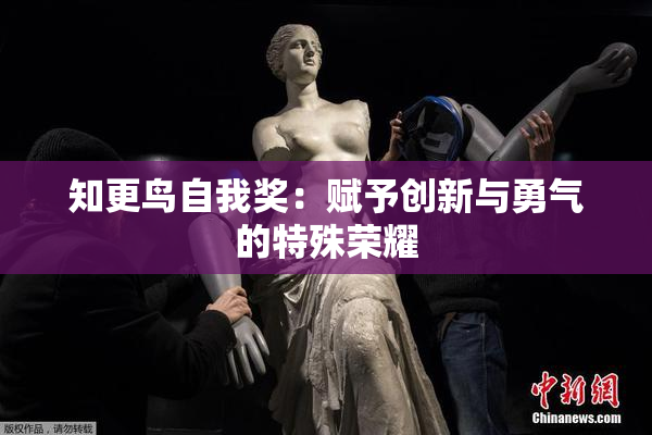 知更鸟自我奖：赋予创新与勇气的特殊荣耀