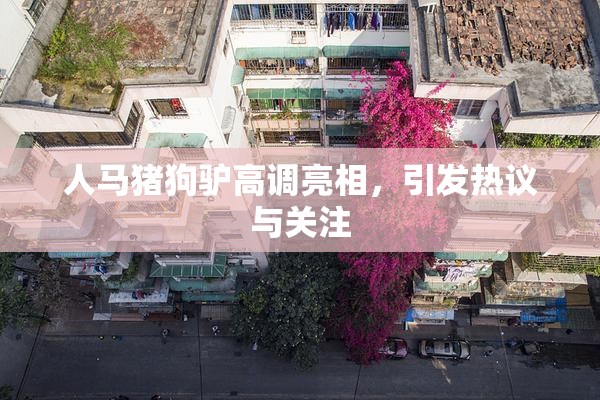 人马猪狗驴高调亮相，引发热议与关注