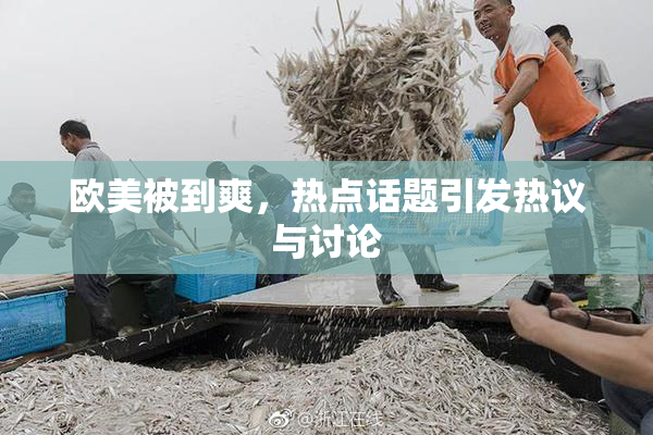 欧美被到爽，热点话题引发热议与讨论