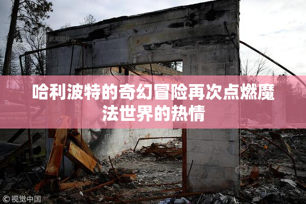 哈利波特的奇幻冒险再次点燃魔法世界的热情