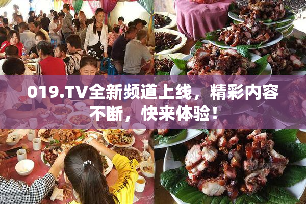 019.TV全新频道上线，精彩内容不断，快来体验！