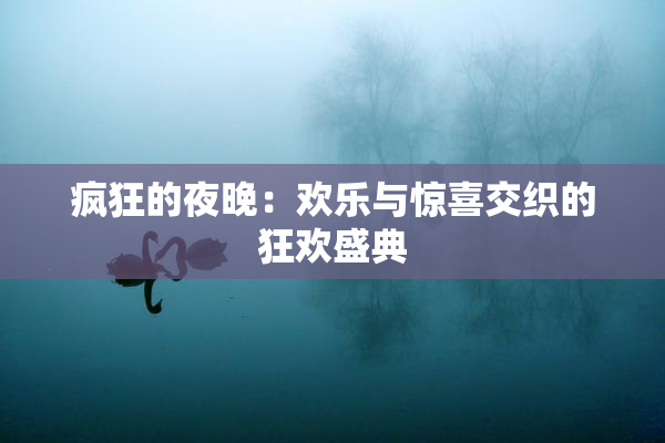 疯狂的夜晚：欢乐与惊喜交织的狂欢盛典