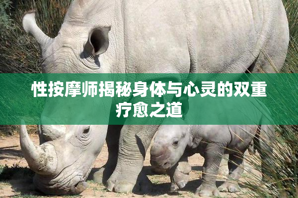 性按摩师揭秘身体与心灵的双重疗愈之道