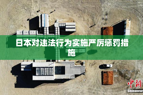 日本对违法行为实施严厉惩罚措施