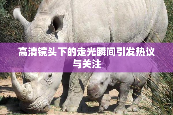 高清镜头下的走光瞬间引发热议与关注