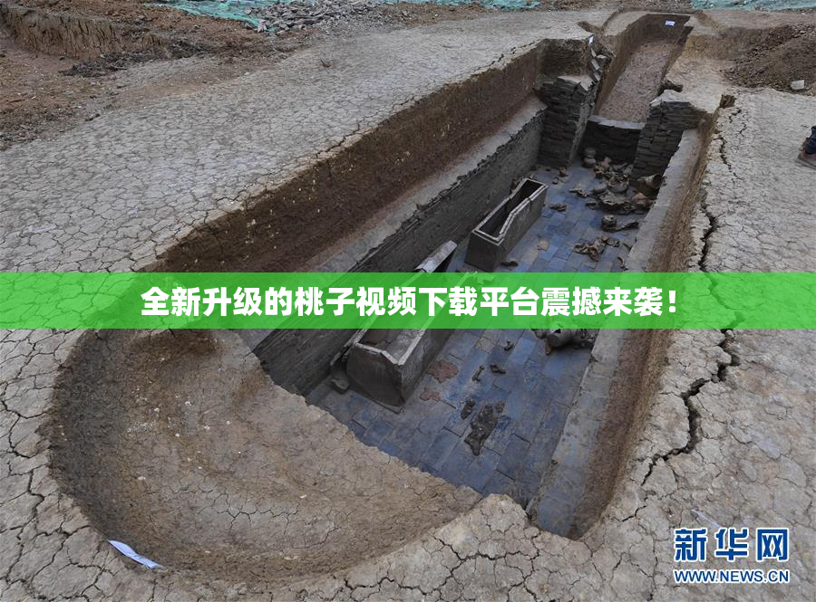 全新升级的桃子视频下载平台震撼来袭！
