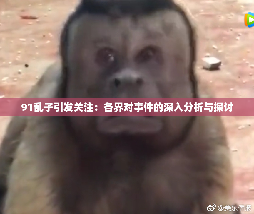 91乱子引发关注：各界对事件的深入分析与探讨
