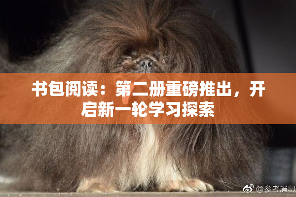 书包阅读：第二册重磅推出，开启新一轮学习探索