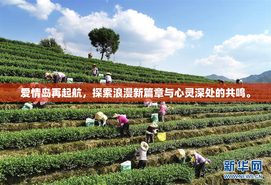 爱情岛再起航，探索浪漫新篇章与心灵深处的共鸣。