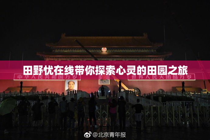 田野忧在线带你探索心灵的田园之旅