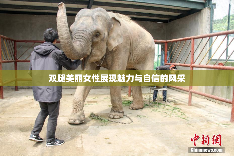 双腿美丽女性展现魅力与自信的风采