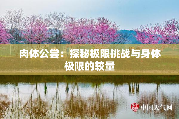 肉体公尝：探秘极限挑战与身体极限的较量