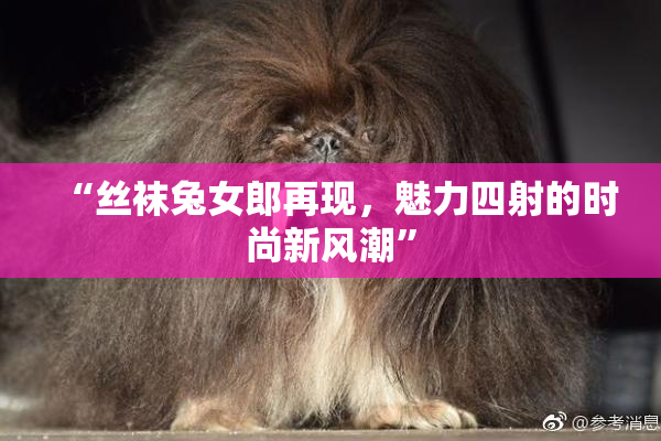 “丝袜兔女郎再现，魅力四射的时尚新风潮”