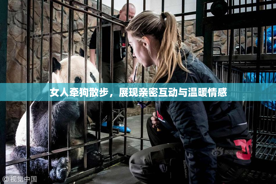 女人牵狗散步，展现亲密互动与温暖情感