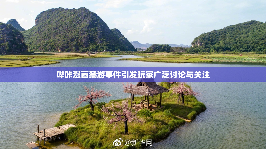 哔咔漫画禁游事件引发玩家广泛讨论与关注