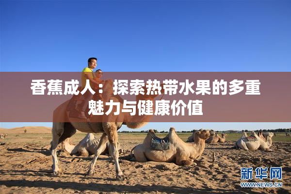 香蕉成人：探索热带水果的多重魅力与健康价值