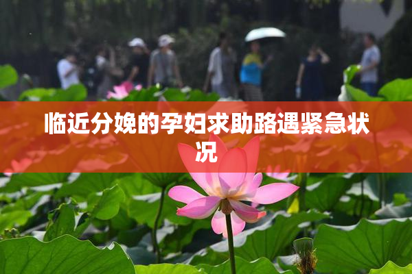 临近分娩的孕妇求助路遇紧急状况