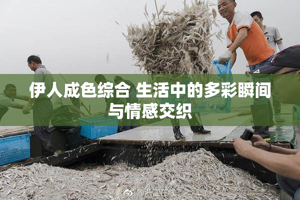 伊人成色综合 生活中的多彩瞬间与情感交织