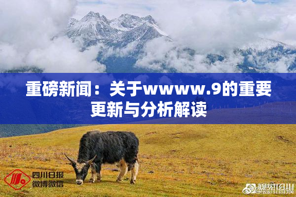 重磅新闻：关于wwww.9的重要更新与分析解读