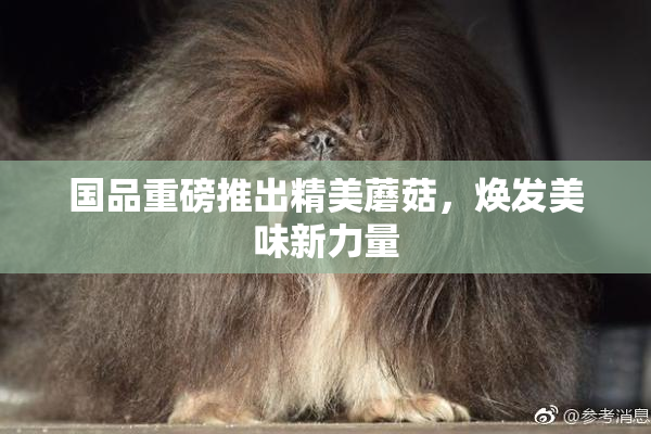 国品重磅推出精美蘑菇，焕发美味新力量