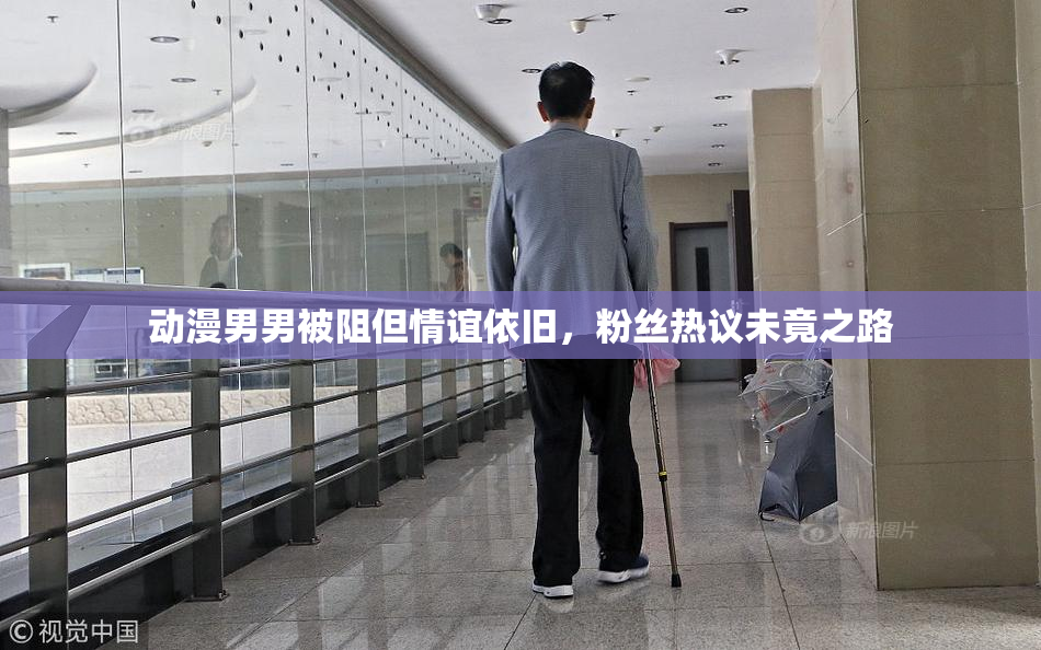 动漫男男被阻但情谊依旧，粉丝热议未竟之路
