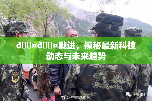 🐤🐤戳进，探秘最新科技动态与未来趋势