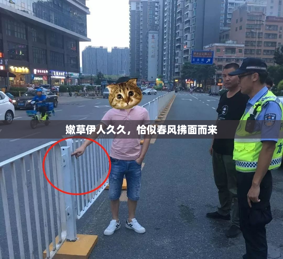 嫩草伊人久久，恰似春风拂面而来