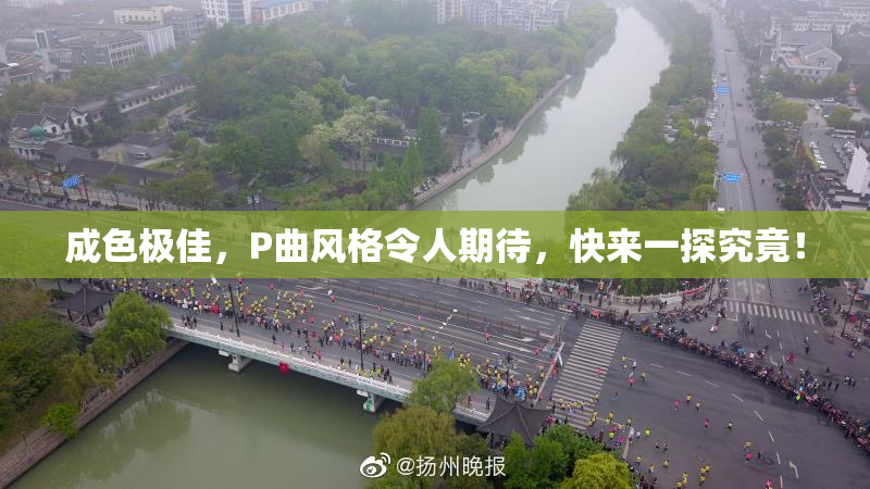 成色极佳，P曲风格令人期待，快来一探究竟！