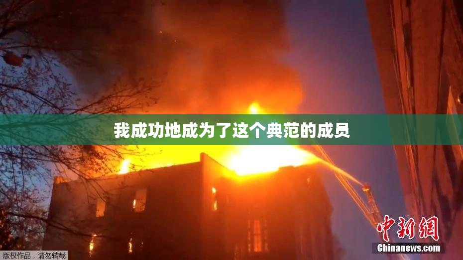我成功地成为了这个典范的成员