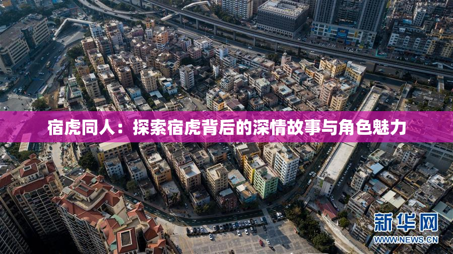 宿虎同人：探索宿虎背后的深情故事与角色魅力