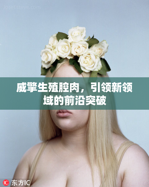 威擎生殖腔肉，引领新领域的前沿突破