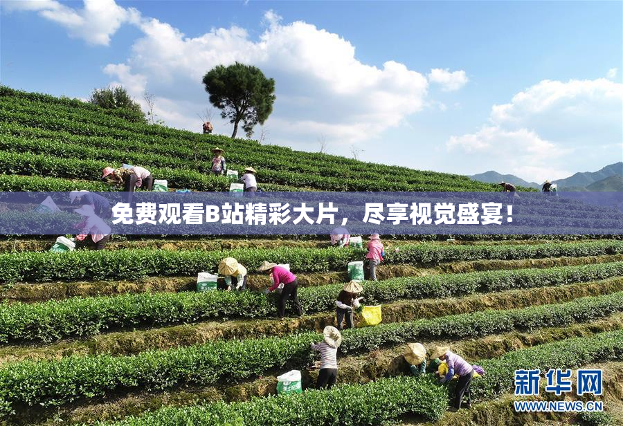 免费观看B站精彩大片，尽享视觉盛宴！