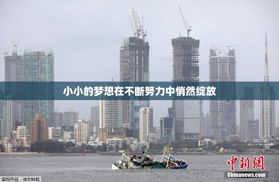 小小的梦想在不断努力中悄然绽放