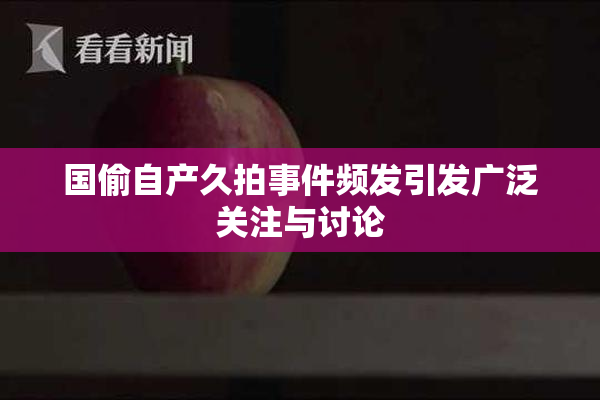 国偷自产久拍事件频发引发广泛关注与讨论