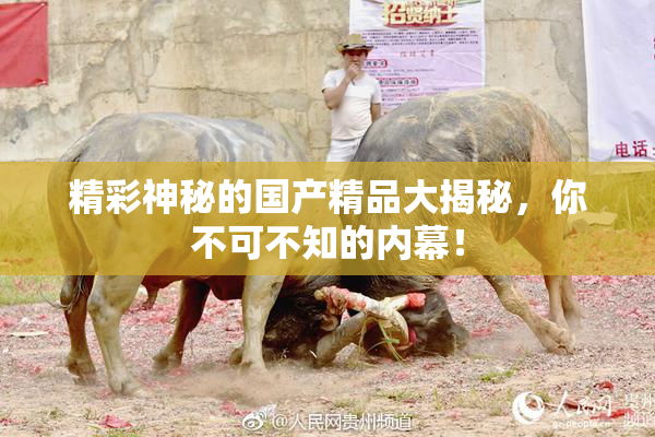 精彩神秘的国产精品大揭秘，你不可不知的内幕！