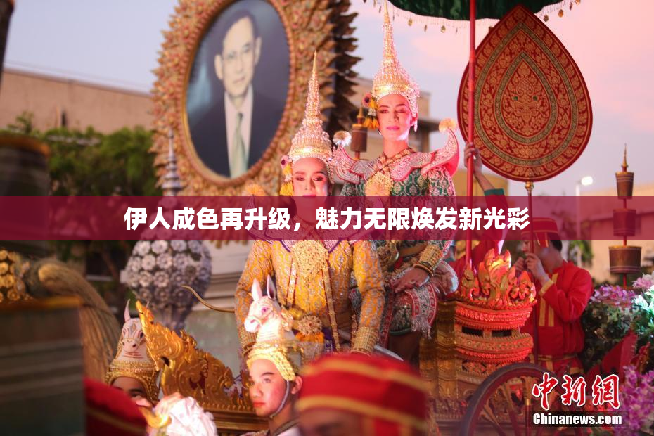 伊人成色再升级，魅力无限焕发新光彩