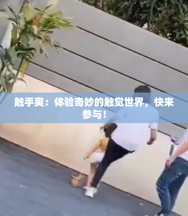 触手爽：体验奇妙的触觉世界，快来参与！