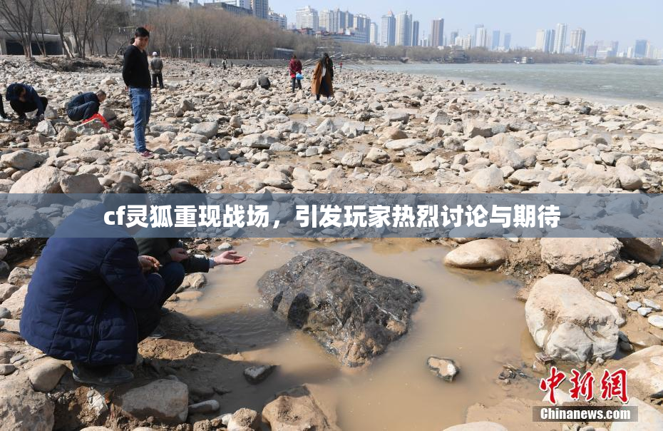 cf灵狐重现战场，引发玩家热烈讨论与期待