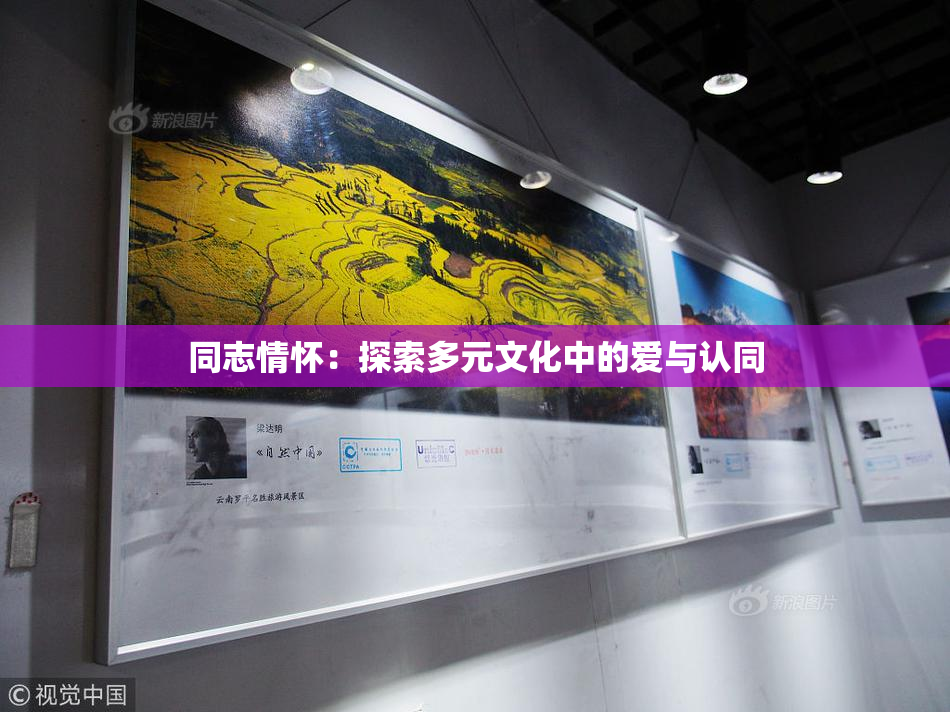 同志情怀：探索多元文化中的爱与认同