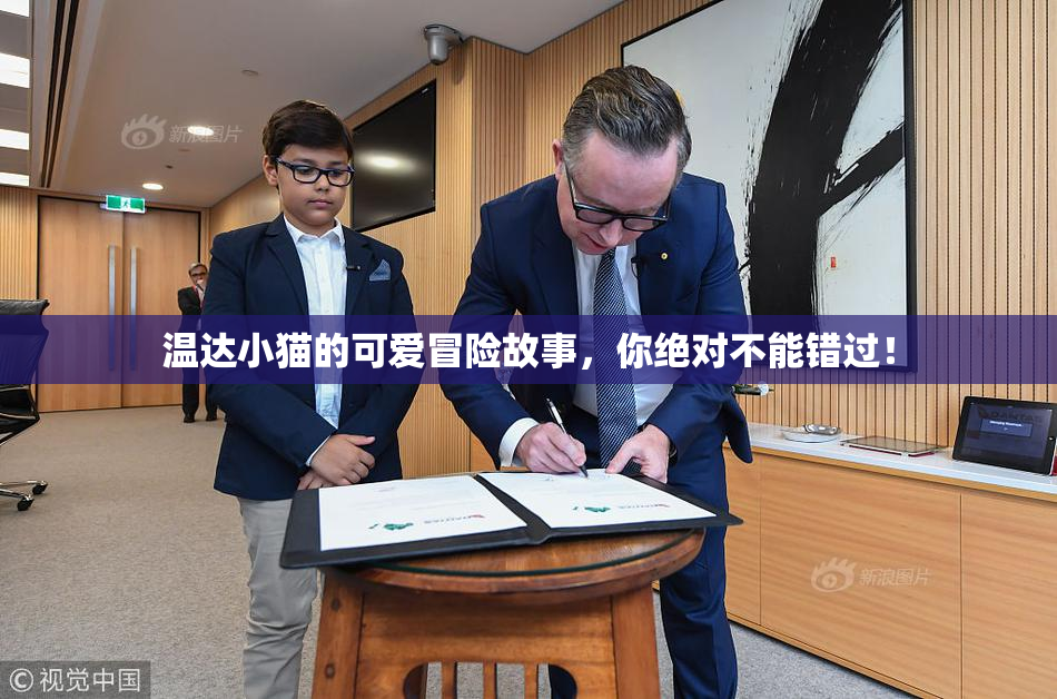 温达小猫的可爱冒险故事，你绝对不能错过！