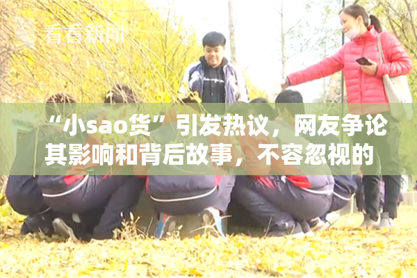 “小sao货”引发热议，网友争论其影响和背后故事，不容忽视的文化现象。